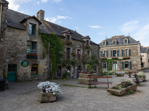 Traitement punaises de lit Beaupréau-en-Mauges